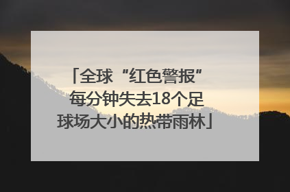 全球“红色警报”  每分钟失去18个足球场大小的热带雨林