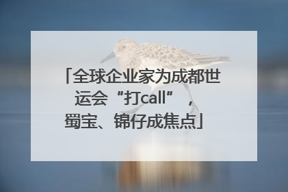 全球企业家为成都世运会“打call”，蜀宝、锦仔成焦点