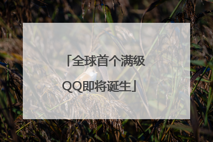 全球首个满级QQ即将诞生