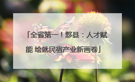 全省第一！黟县：人才赋能 绘就民宿产业新画卷