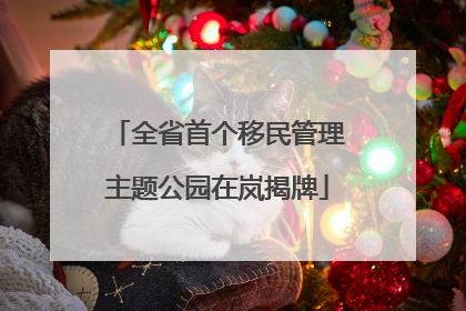 全省首个移民管理主题公园在岚揭牌