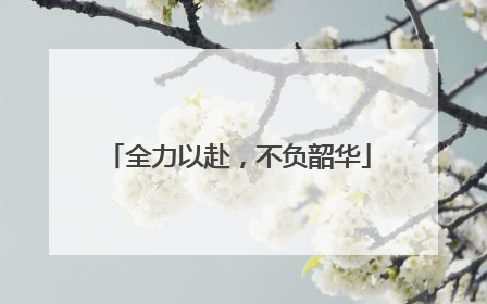 全力以赴，不负韶华