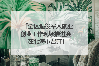 全区退役军人就业创业工作现场推进会在北海市召开