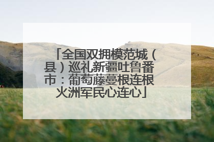 全国双拥模范城（县）巡礼新疆吐鲁番市：葡萄藤蔓根连根 火洲军民心连心