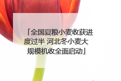 全国夏粮小麦收获进度过半 河北冬小麦大规模机收全面启动