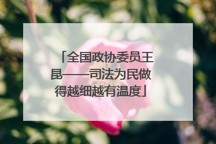 全国政协委员王昆——司法为民做得越细越有温度