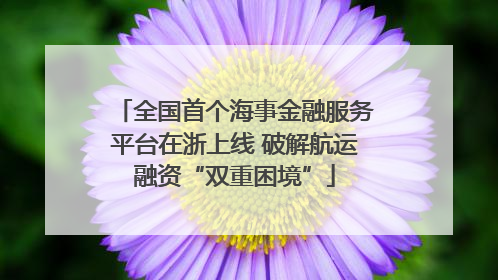 全国首个海事金融服务平台在浙上线 破解航运融资“双重困境”