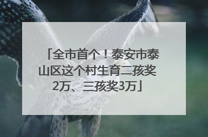全市首个！泰安市泰山区这个村生育二孩奖2万、三孩奖3万