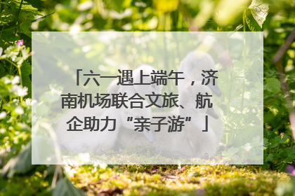 六一遇上端午，济南机场联合文旅、航企助力“亲子游”