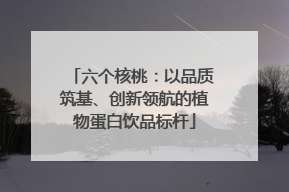 六个核桃：以品质筑基、创新领航的植物蛋白饮品标杆