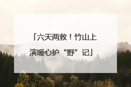 六天两救！竹山上演暖心护“野”记