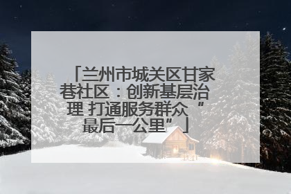 兰州市城关区甘家巷社区：创新基层治理 打通服务群众“最后一公里”
