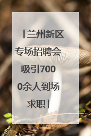 兰州新区专场招聘会吸引7000余人到场求职