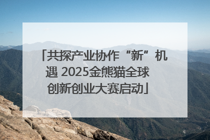 共探产业协作“新”机遇 2025金熊猫全球创新创业大赛启动