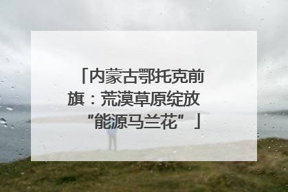 内蒙古鄂托克前旗：荒漠草原绽放“能源马兰花”