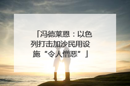 冯德莱恩：以色列打击加沙民用设施“令人憎恶”
