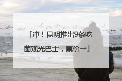 冲！昆明推出9条吃菌观光巴士，票价→
