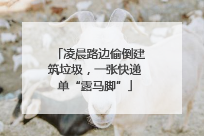凌晨路边偷倒建筑垃圾，一张快递单“露马脚”