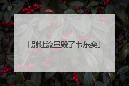 别让流量毁了韦东奕