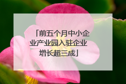 前五个月中小企业产业园入驻企业增长超三成