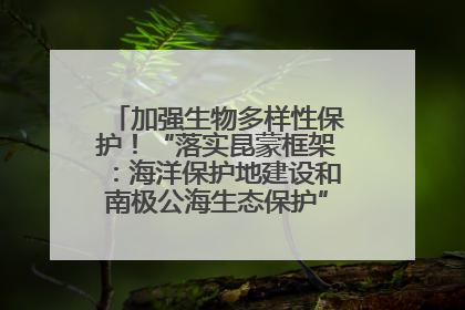 加强生物多样性保护！“落实昆蒙框架：海洋保护地建设和南极公海生态保护”主题论坛将举办