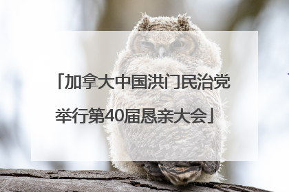 加拿大中国洪门民治党举行第40届恳亲大会
