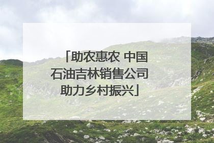助农惠农 中国石油吉林销售公司助力乡村振兴