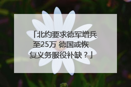 北约要求德军增兵至25万 德国或恢复义务服役补缺？