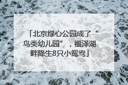 北京绿心公园成了“鸟类幼儿园”，福泽湖畔降生8只小鸳鸯