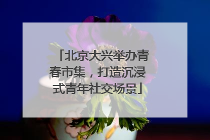 北京大兴举办青春市集，打造沉浸式青年社交场景