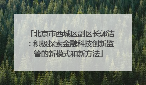 北京市西城区副区长郭洁：积极探索金融科技创新监管的新模式和新方法