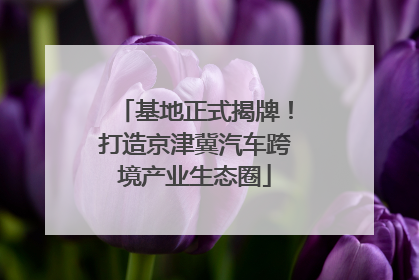 基地正式揭牌！打造京津冀汽车跨境产业生态圈
