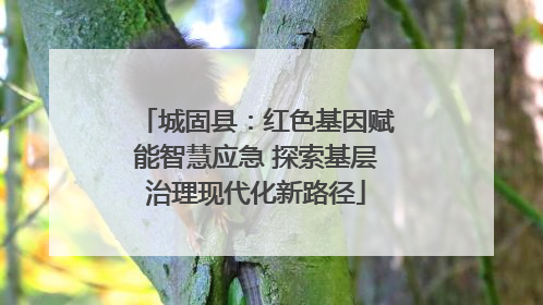 城固县：红色基因赋能智慧应急 探索基层治理现代化新路径