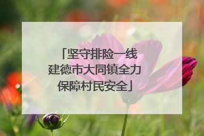 坚守排险一线 建德市大同镇全力保障村民安全
