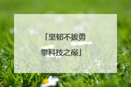 坚韧不拔勇攀科技之巅