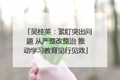 吴桂英：紧盯突出问题 从严整改整治 推动学习教育见行见效
