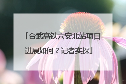 合武高铁六安北站项目进展如何？记者实探