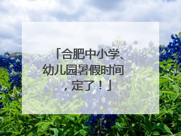合肥中小学、幼儿园暑假时间，定了！