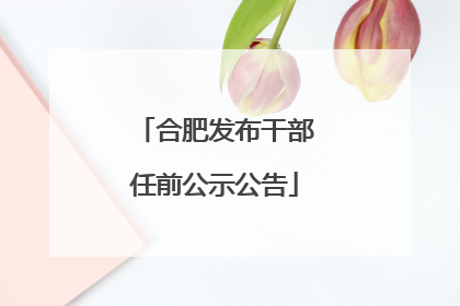 合肥发布干部任前公示公告