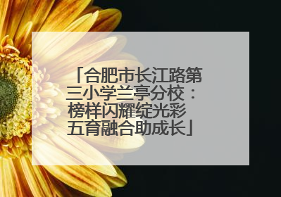合肥市长江路第三小学兰亭分校：榜样闪耀绽光彩 五育融合助成长