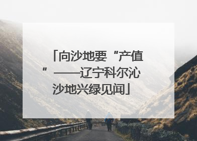 向沙地要“产值”——辽宁科尔沁沙地兴绿见闻