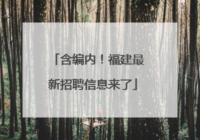 含编内！福建最新招聘信息来了