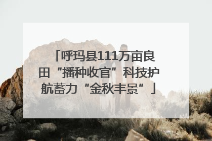 呼玛县111万亩良田“播种收官”科技护航蓄力“金秋丰景”