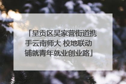 呈贡区吴家营街道携手云南师大 校地联动铺就青年就业创业路