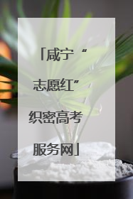 咸宁“志愿红”织密高考服务网