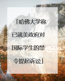 哈佛大学称已就美政府对国际学生的禁令提起诉讼
