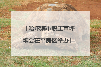 哈尔滨市职工草坪歌会在平房区举办