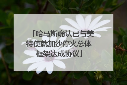 哈马斯确认已与美特使就加沙停火总体框架达成协议