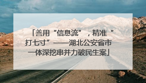 善用“信息流”，精准“打七寸”——湖北公安省市一体深挖串并力破民生案