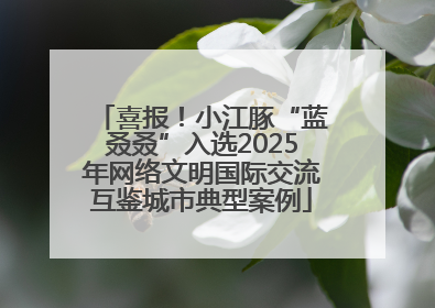 喜报！小江豚“蓝叒叒”入选2025年网络文明国际交流互鉴城市典型案例